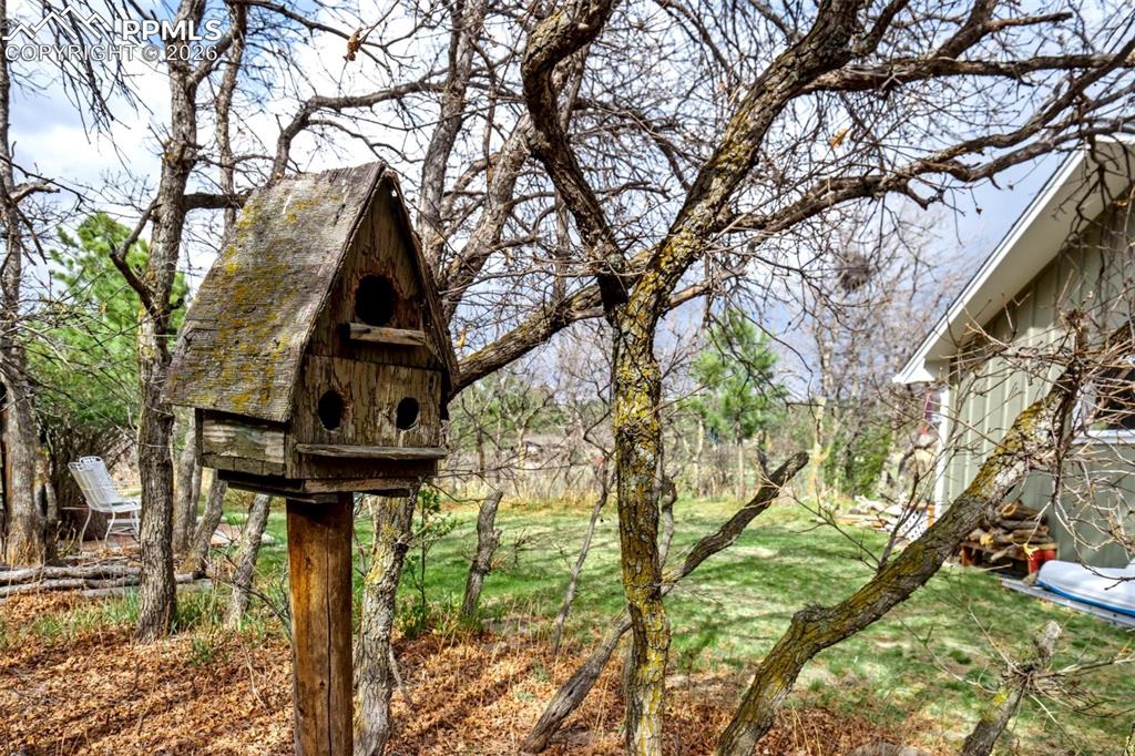 Image 42 of 50: Other