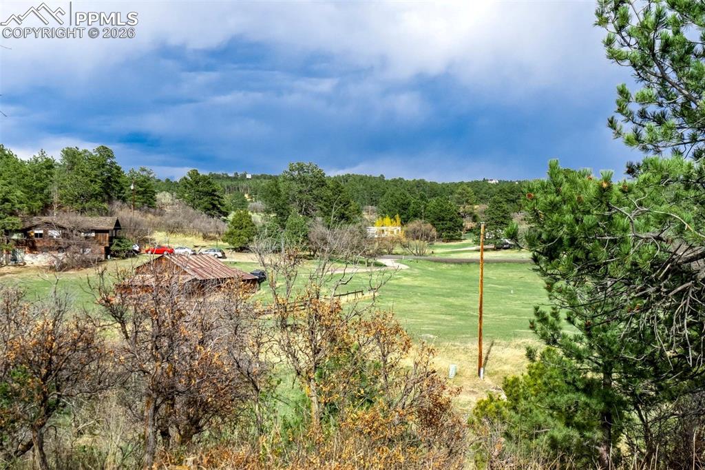 Image 43 of 50: Community