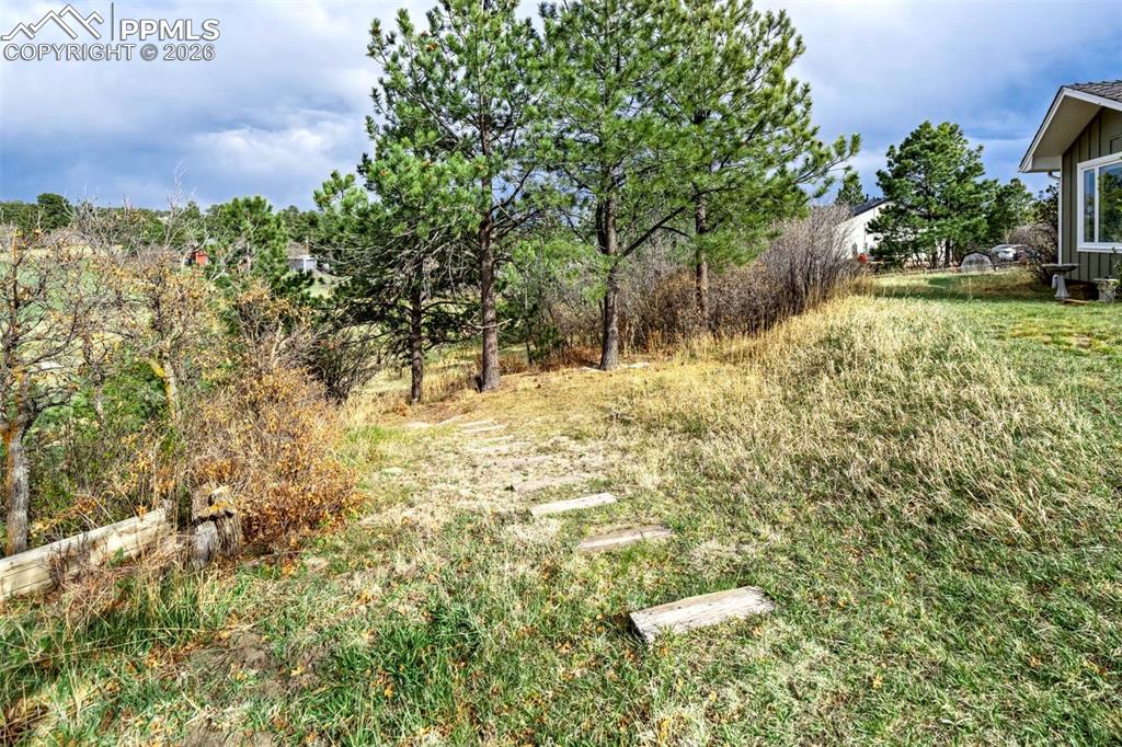 Image 44 of 50: Yard