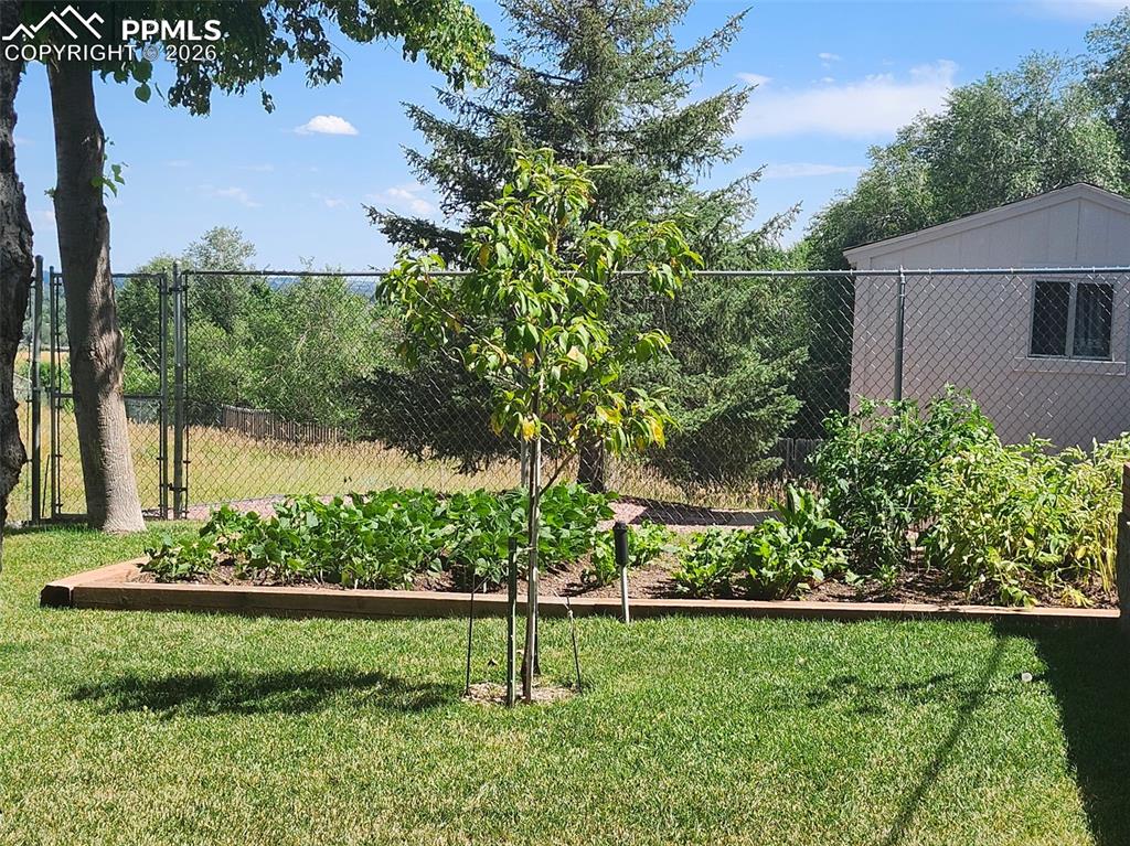 Image 38 of 50: Yard