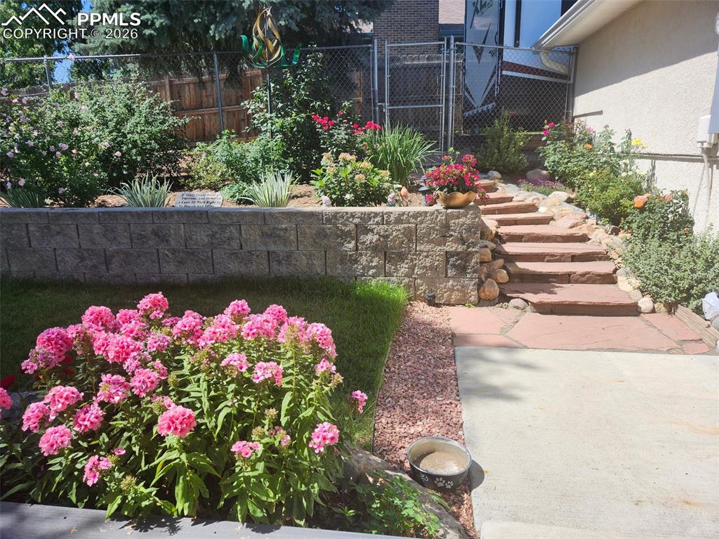 Image 39 of 50: Yard