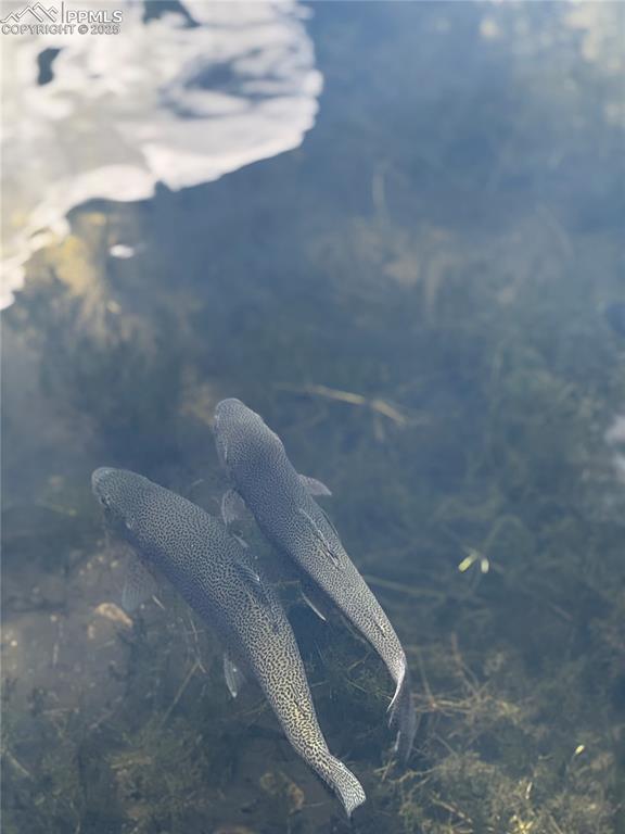 Image 13 of 13: View