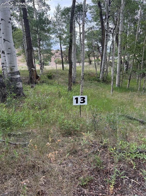 Image 2 of 13: Other