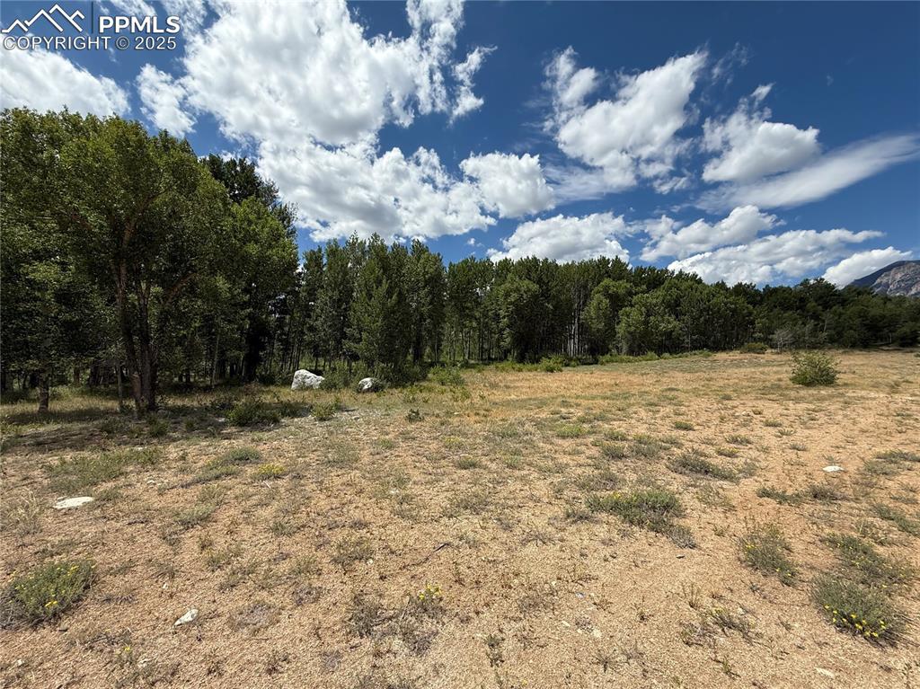 Image 5 of 13: Other