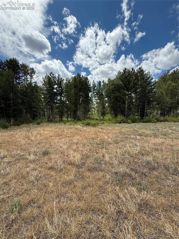 Image 7 of 13: Other