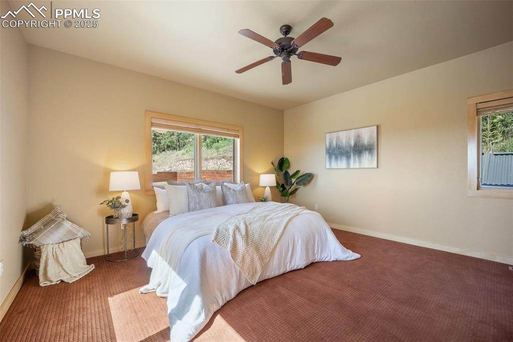 Image 15 of 50: Carpeted bedroom with multiple windows and ceiling fan