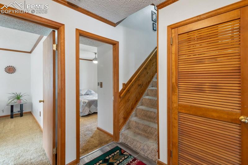 Image 27 of 37: Stairs featuring a textured ceiling, carpet flooring, and ornamental moldin