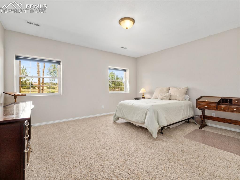 Image 34 of 44: Bedroom 6 located in the walkout basement