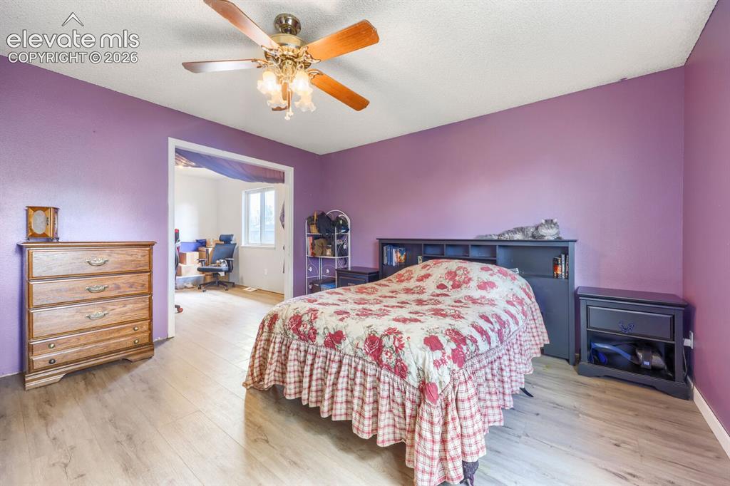 Image 14 of 42: Wood-finish flooring with a ceiling fan light fixture