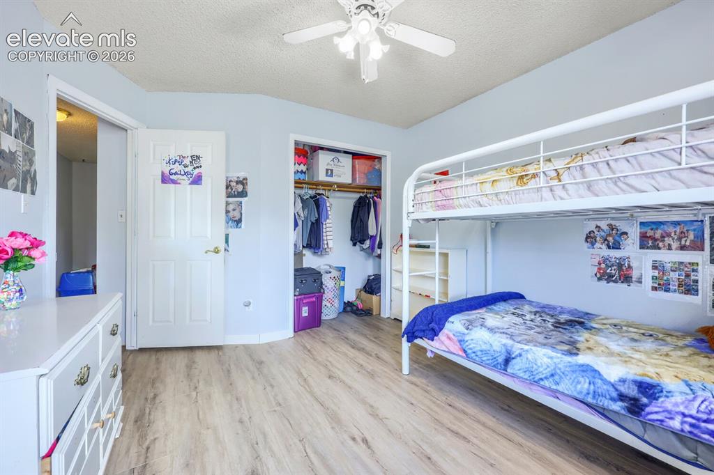 Image 23 of 42: LVP flooring, ceiling fan, and painted walls