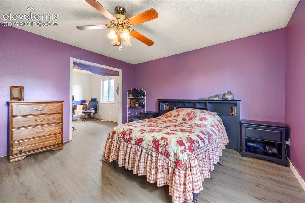 Image 23 of 42: Wood-finish flooring throughout, with a ceiling fan light fixture
