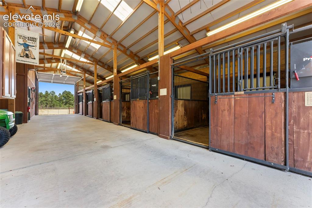Image 13 of 50: Stable