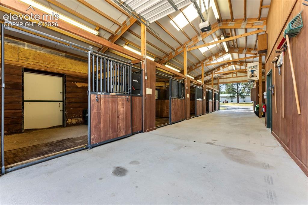 Image 14 of 50: Stable