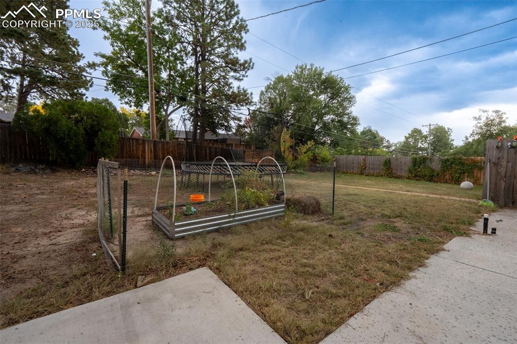 Image 44 of 49: Back yard