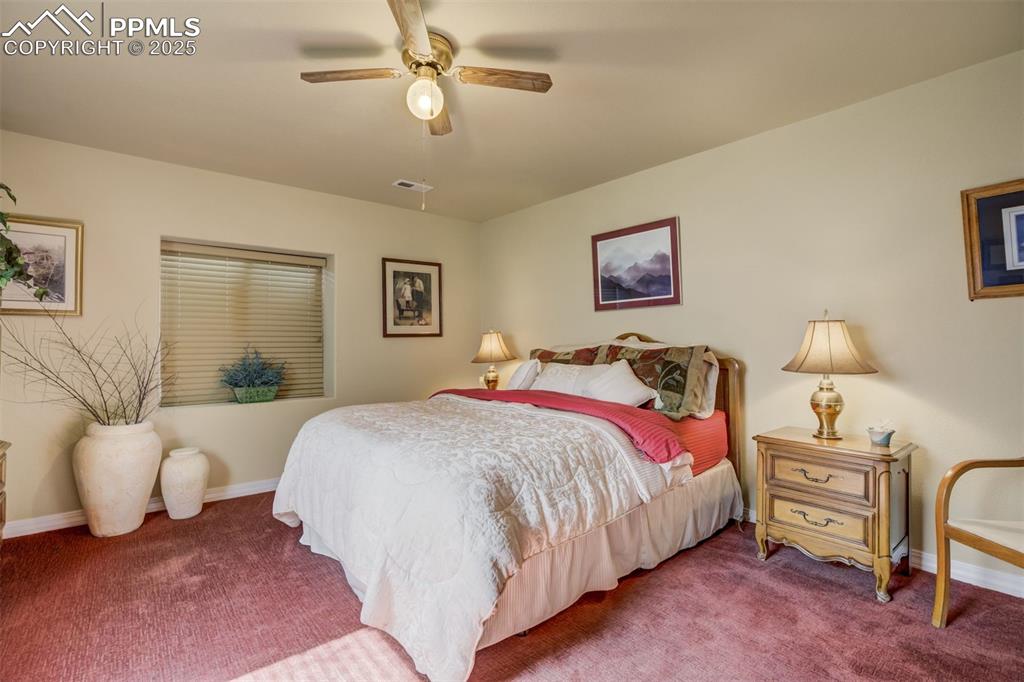 Image 28 of 50: Basement: Bedroom 4, could be a second, primary bedrooms. With a walking c