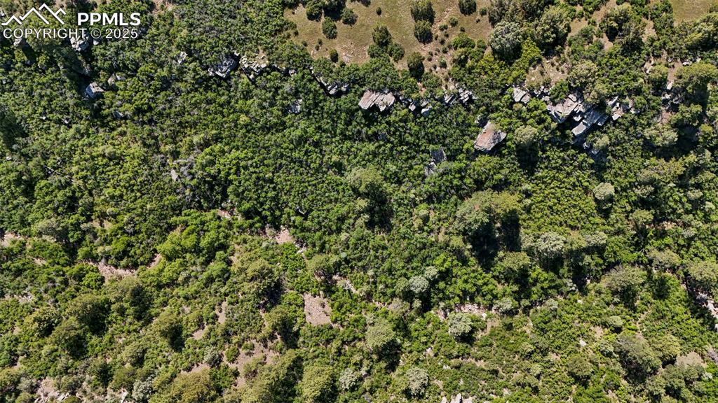 Image 21 of 21: Aerial View