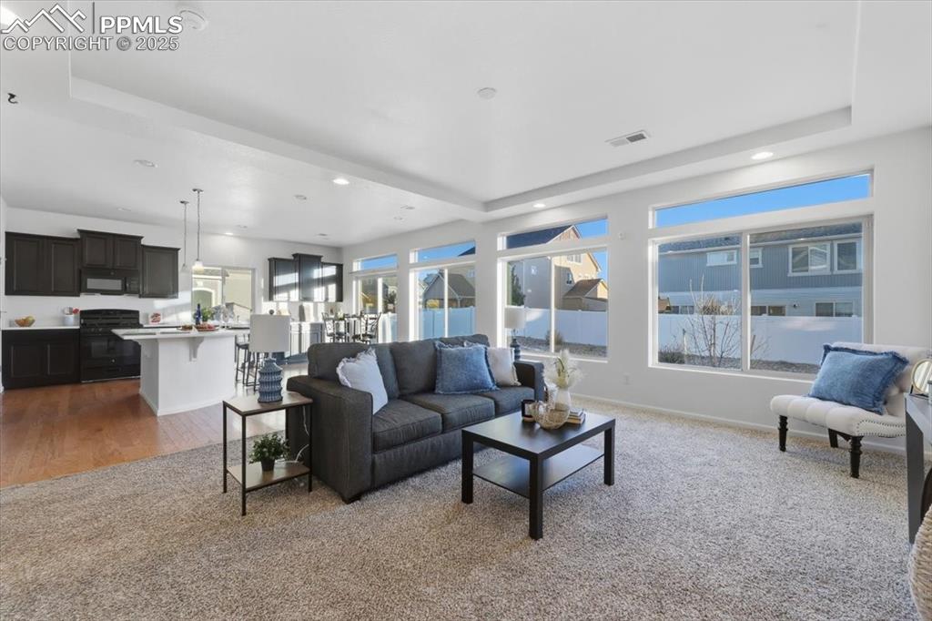 Image 12 of 41: Living room featuring a raised ceiling, carpet flooring, healthy amount of 