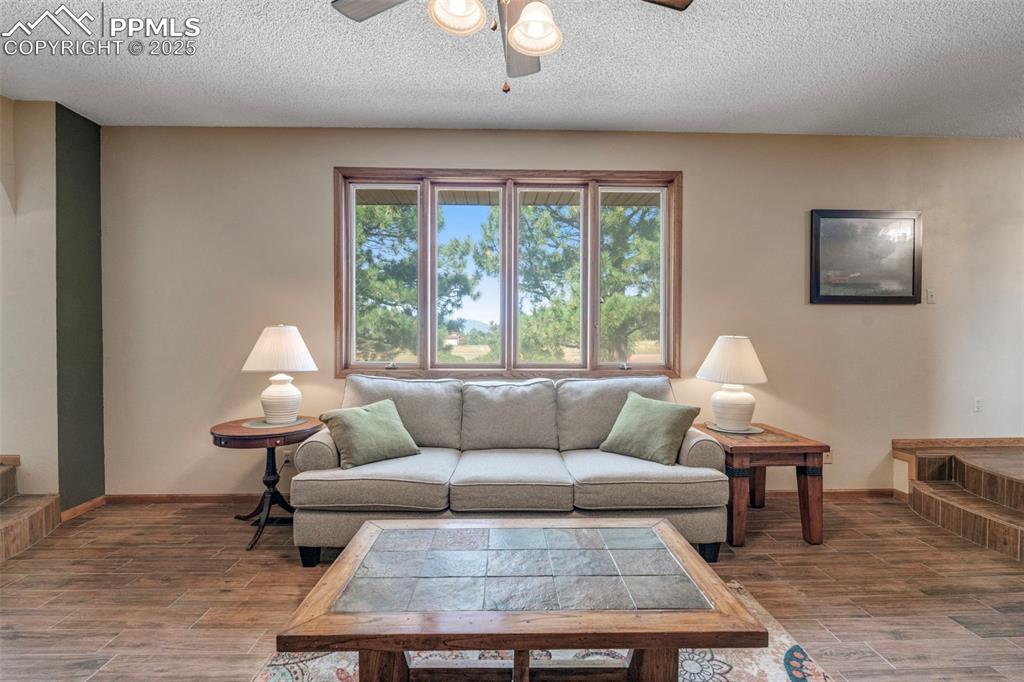 Image 10 of 40: Living Room