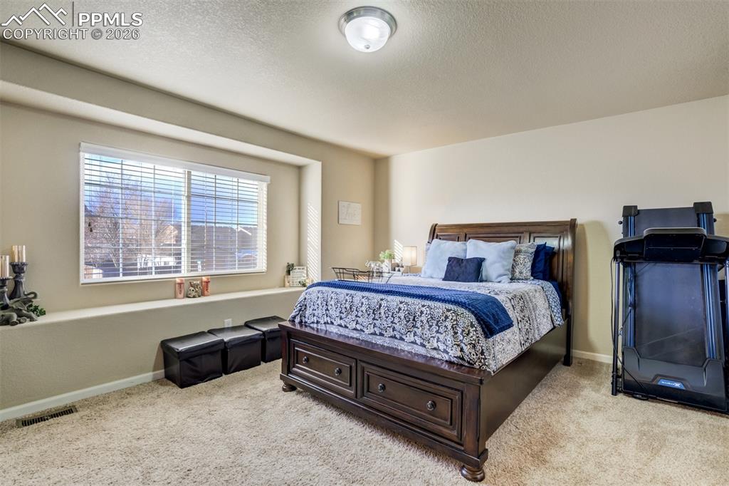 Image 22 of 50: Spacious primary bedroom featuring plush carpeting, large window for natura