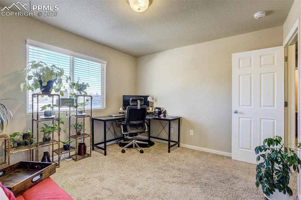 Image 27 of 50: Spacious secondary room featuring large closet, plush carpeting, and plenty