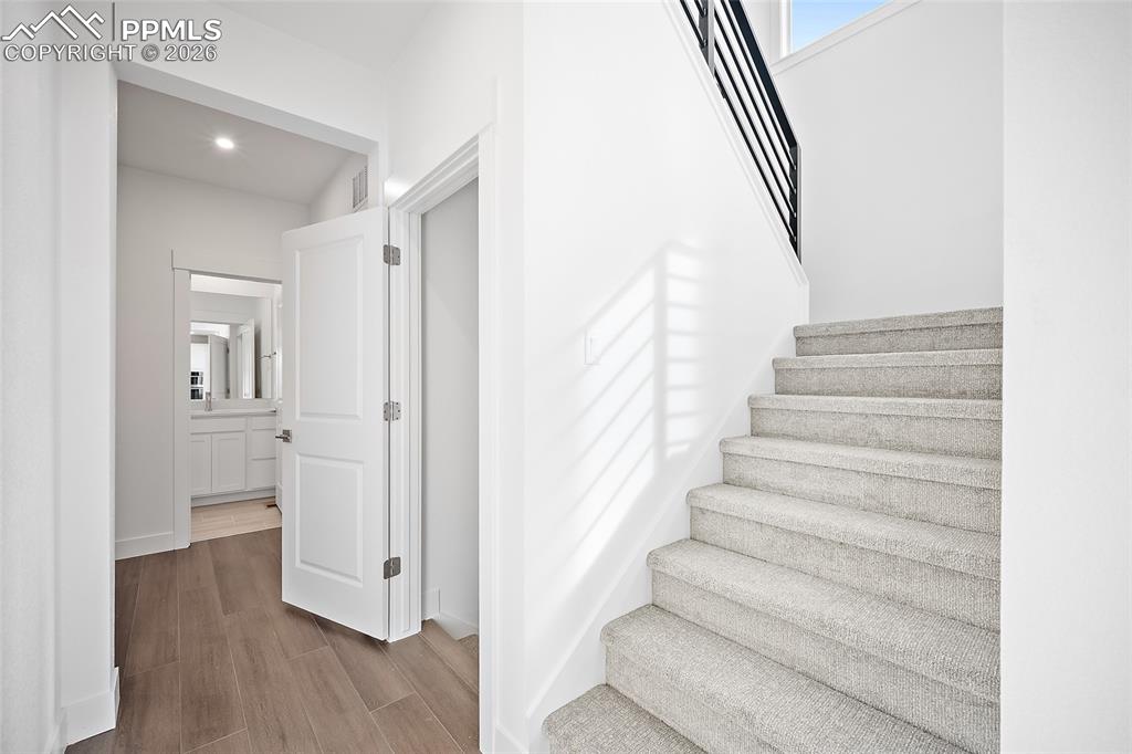 Image 16 of 42: Other