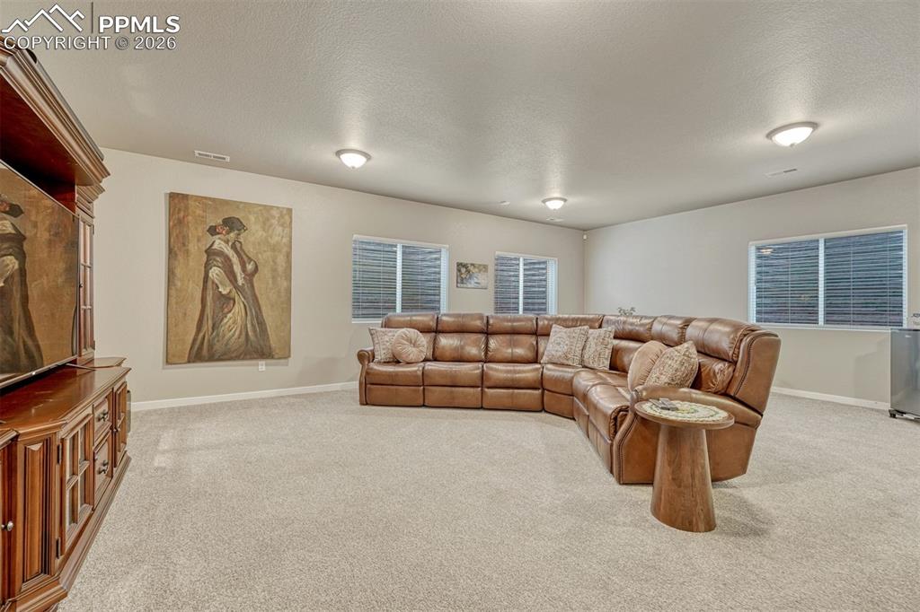 Image 30 of 49: Living Room