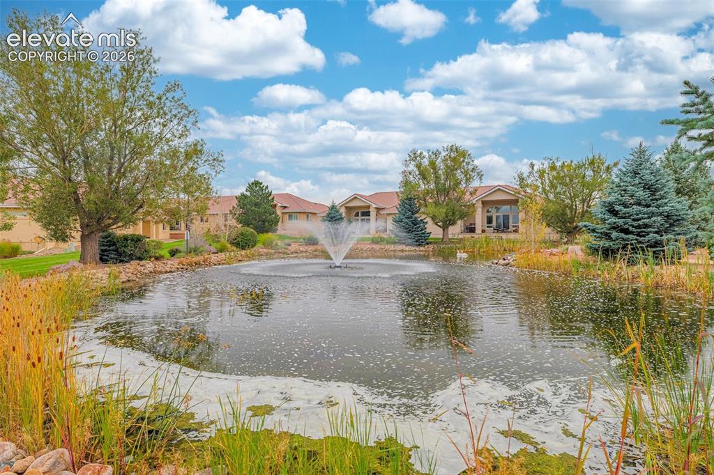 Image 39 of 46: Community pond