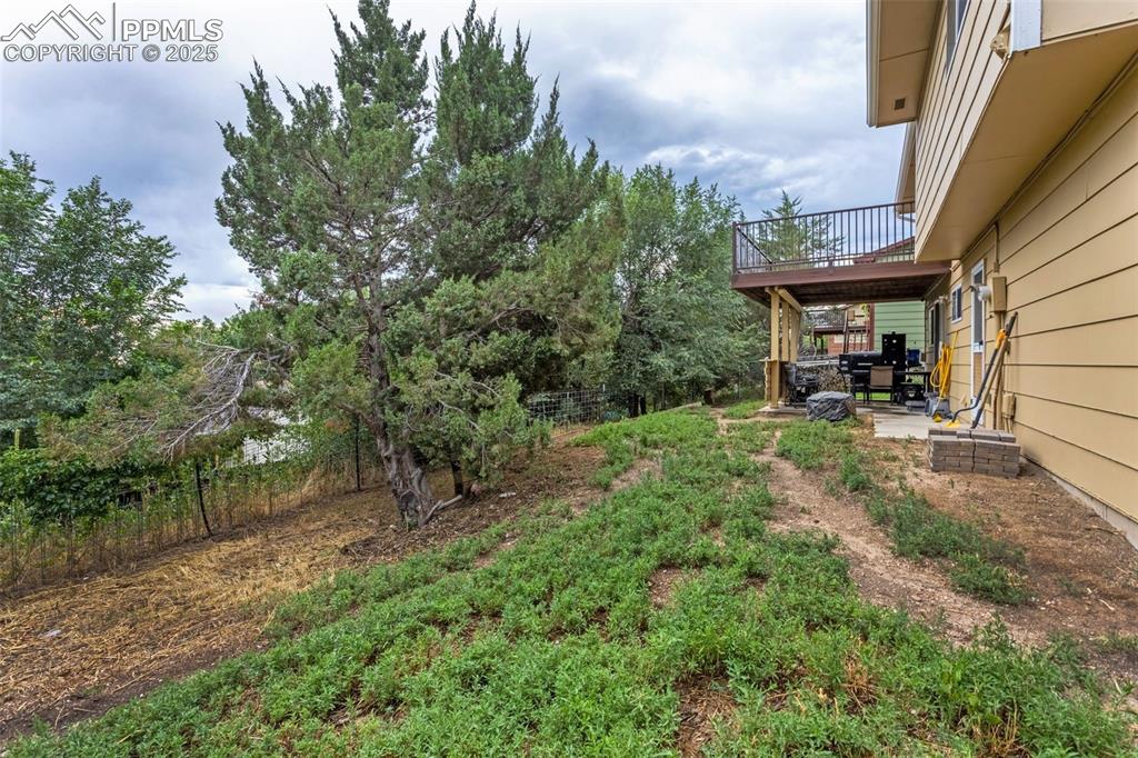 Image 11 of 38: Yard