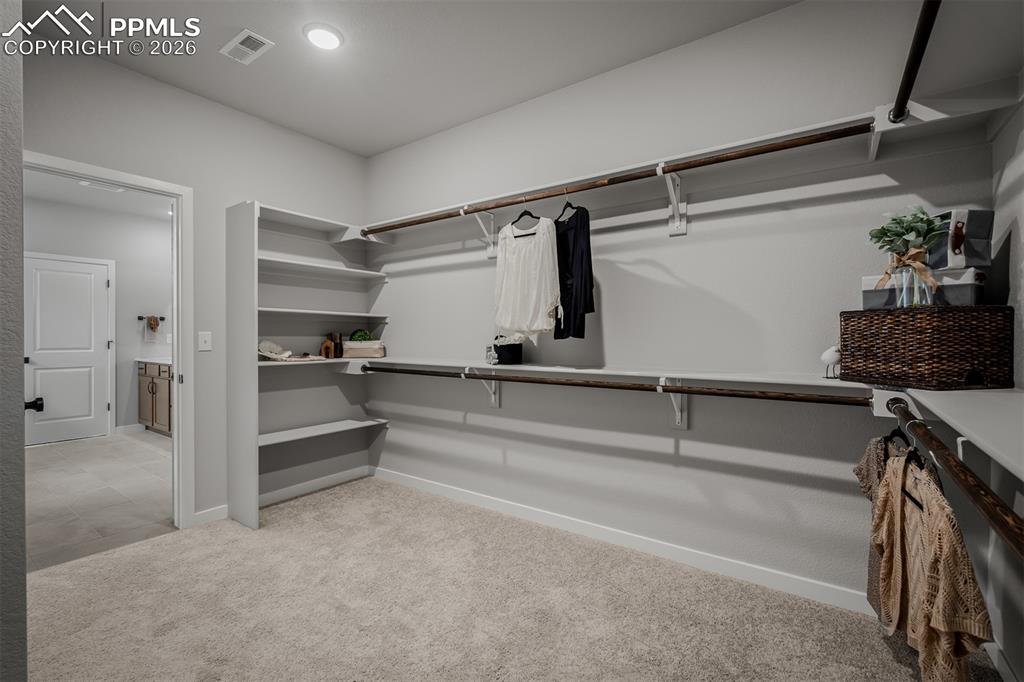 Image 25 of 42: Closet