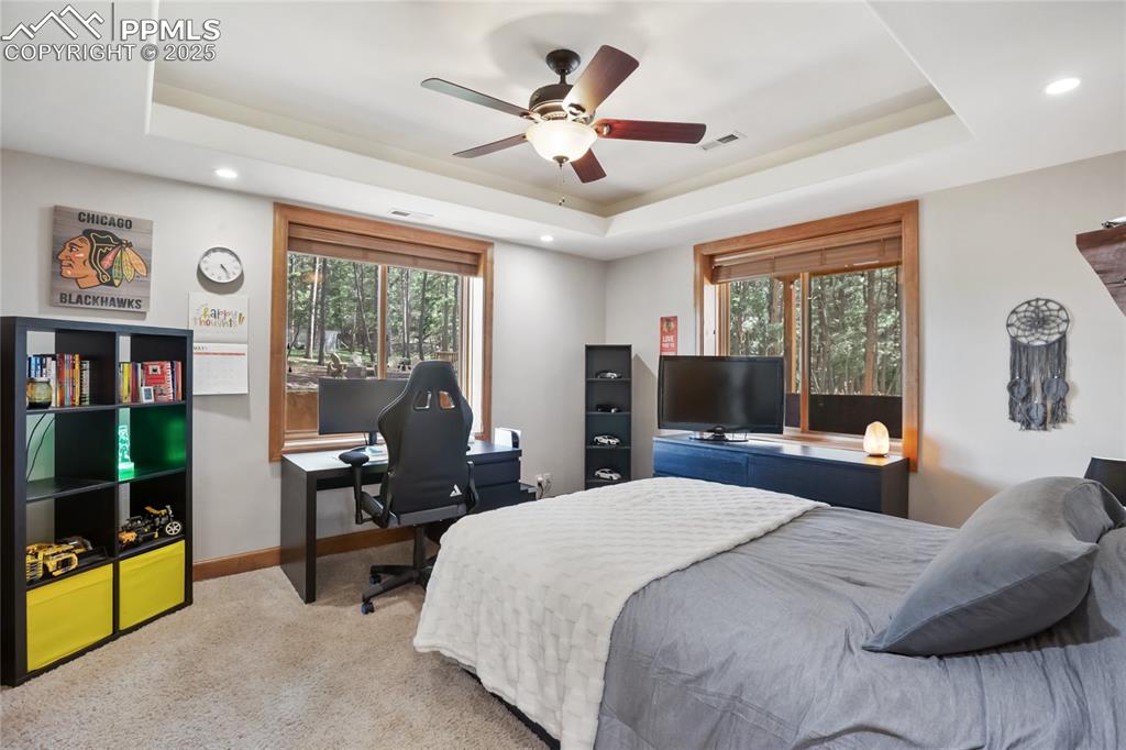 Image 37 of 49: Basement level bedroom with walk in closet