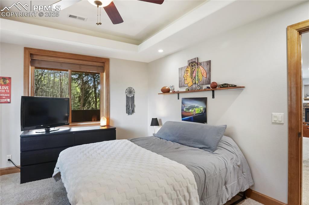 Image 38 of 49: Basement level bedroom with Jack in Jill bathroom