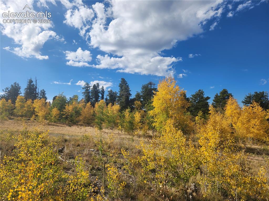 Image 40 of 50: Fall ... in Love with this Land