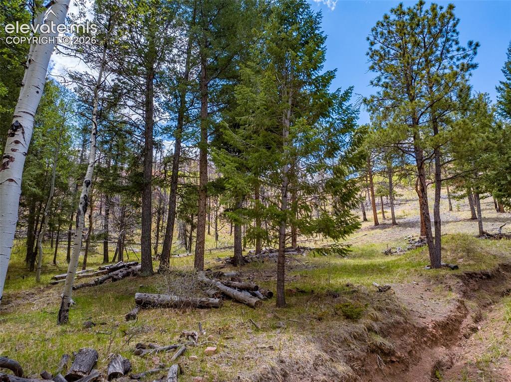 Image 44 of 50: Lot 61 Highland Meadows
