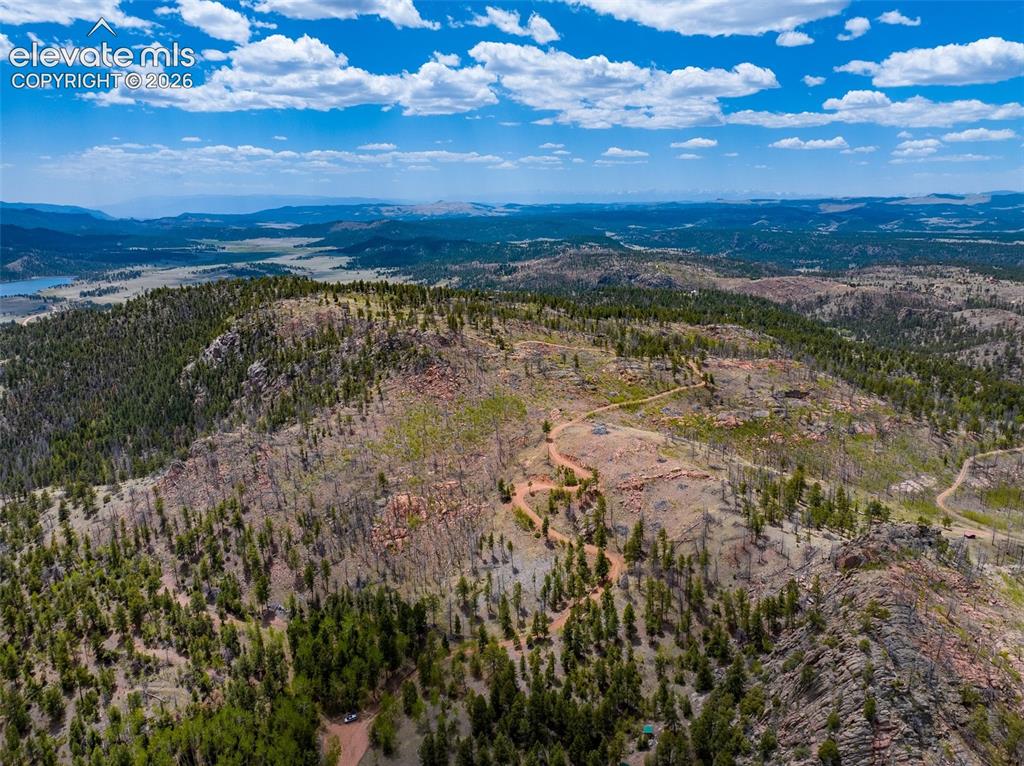 Image 7 of 50: Driveway to the Cabin from Cul de Sac. Lower left of picture