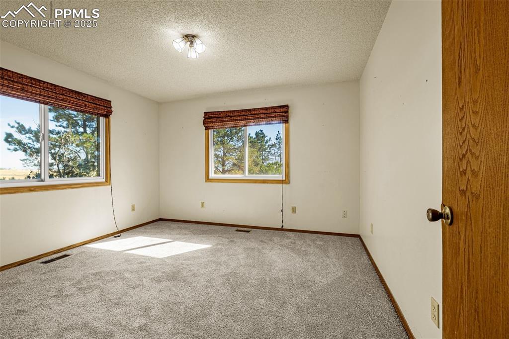 Image 17 of 42: Spare room with carpet and a textured ceiling