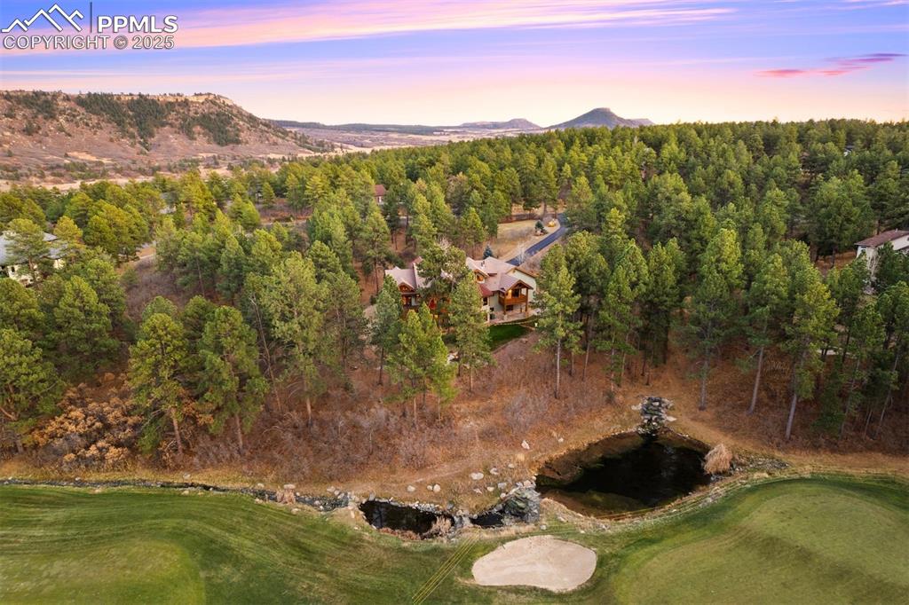 Image 34 of 41: Towering trees and the home’s strategic setback from the golf course help k