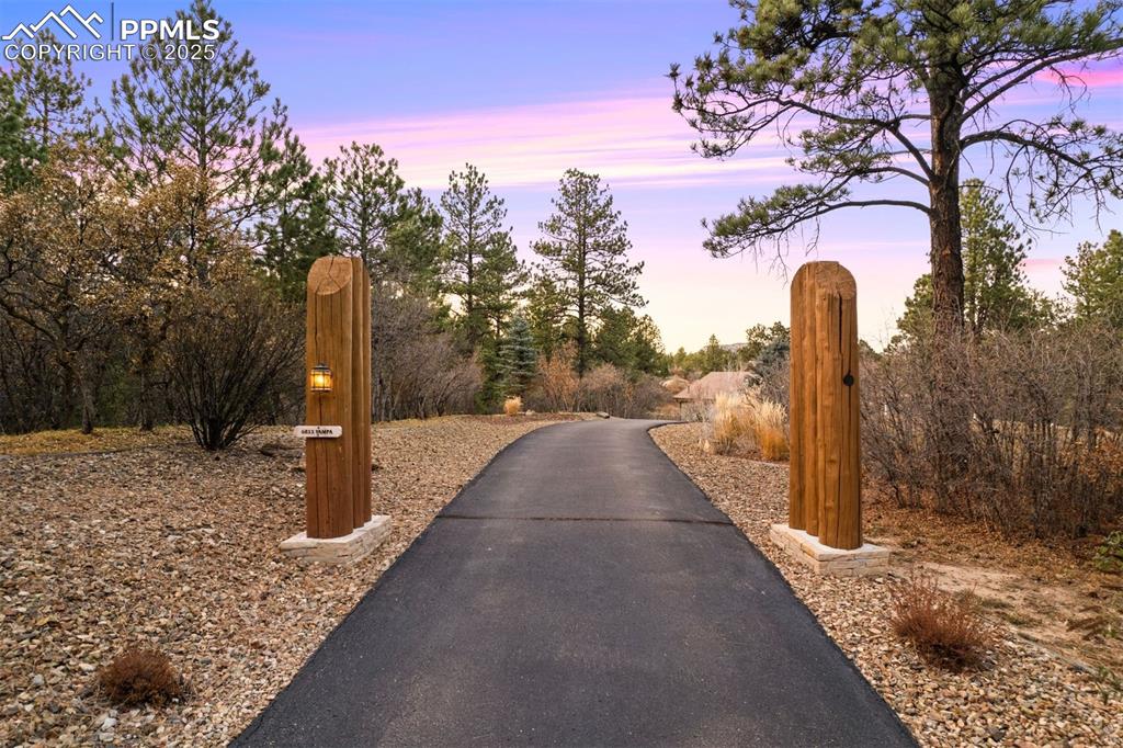 Image 36 of 41: Stunning entry onto the long driveway. 