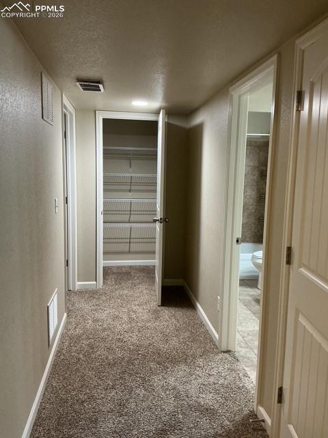 Image 30 of 32: Basement hall