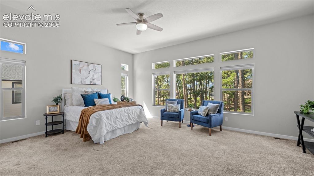 Image 17 of 49: Master Bedroom