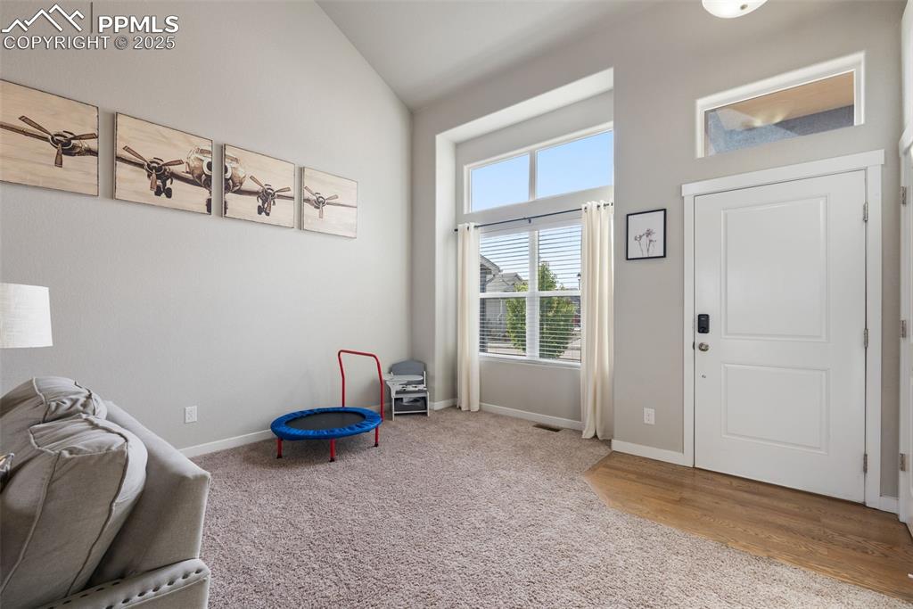 Image 3 of 48: Other