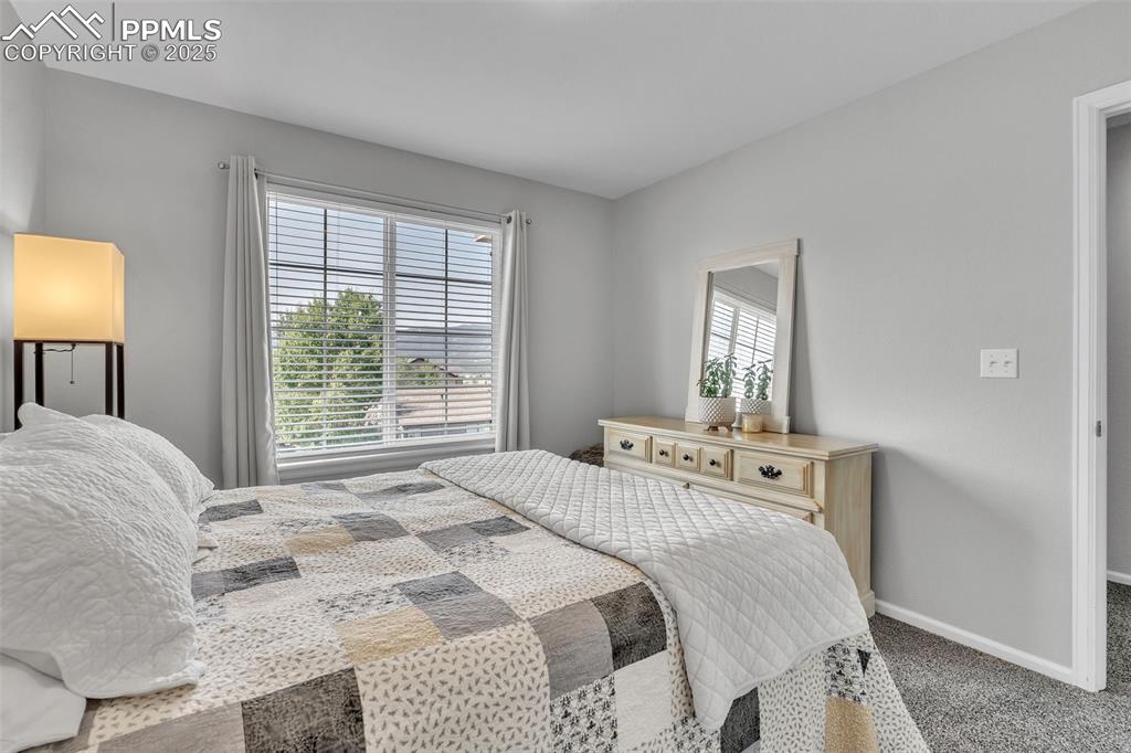 Image 20 of 50: Bedroom featuring multiple windows and carpet flooring