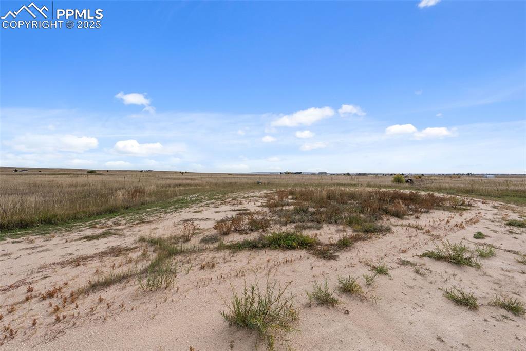 Image 13 of 18: Other