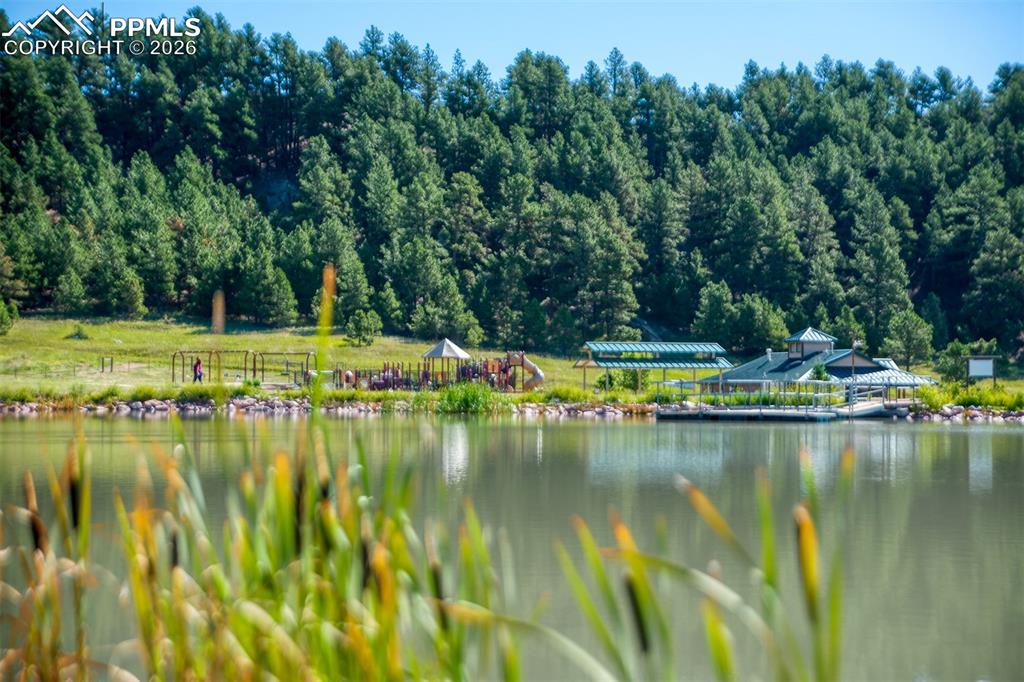 Image 20 of 24: Aerial View