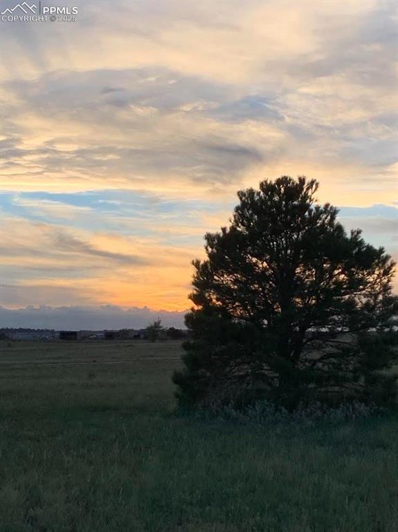 Image 7 of 18: Other