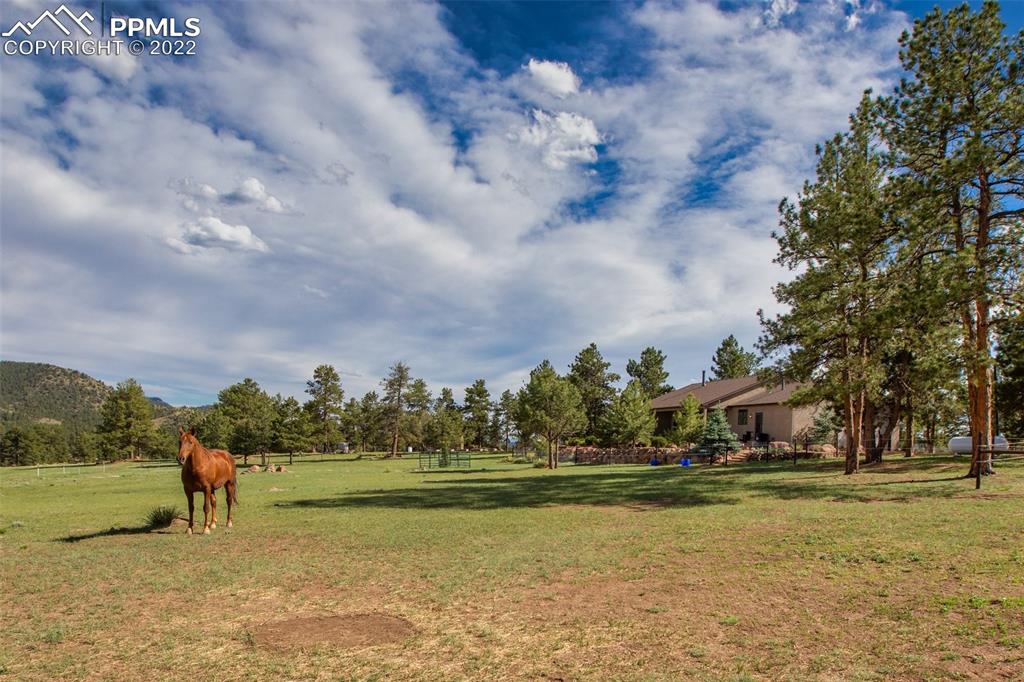 Listing 3861097, Image 40 of 49