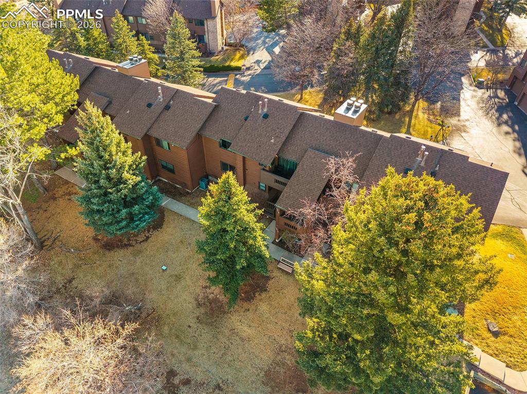 Image 43 of 47: No Description Available