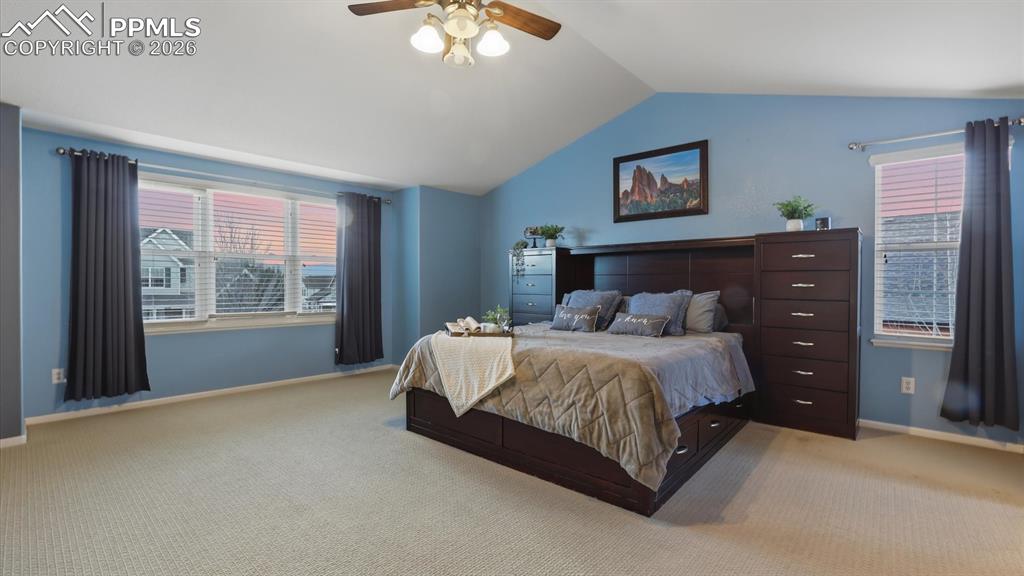 Image 28 of 50: No Description Available