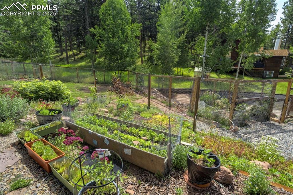 Image 40 of 50: Yard