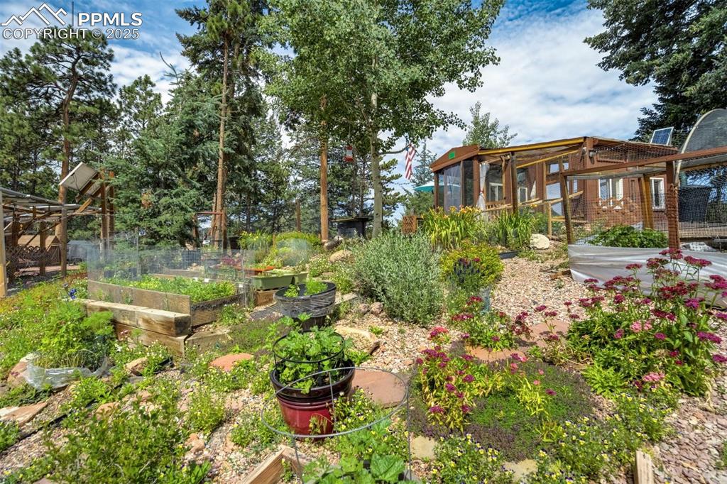 Image 41 of 50: Yard