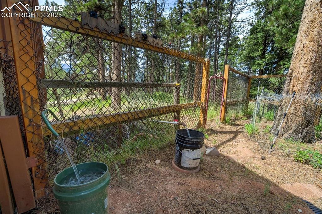 Image 45 of 50: Yard